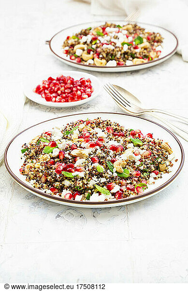 Studio shot of two plates of quinoa salad with feta cheese  pomegranate seeds and cashews
