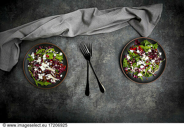 Studio shot of two plates of vegetarian salad with lentils  arugula  feta cheese  radicchio and bell pepper