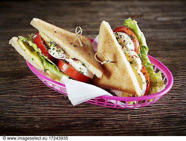 Studio shot of two vegetarian sandwiches with Caprese salad  tomatoes  mozzarella and lettuce