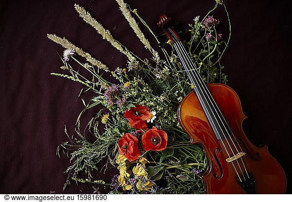 Studio shot of violin leaning on bouquet of blooming wildflowers
