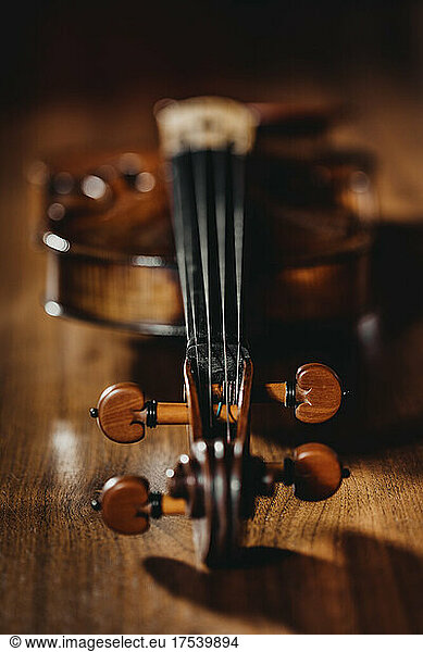 Studio shot of violin with focus on tuning pegs