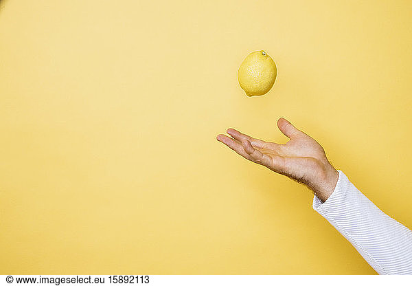 Studioaufnahme der Hand einer Person  die eine Zitrone hochwirft