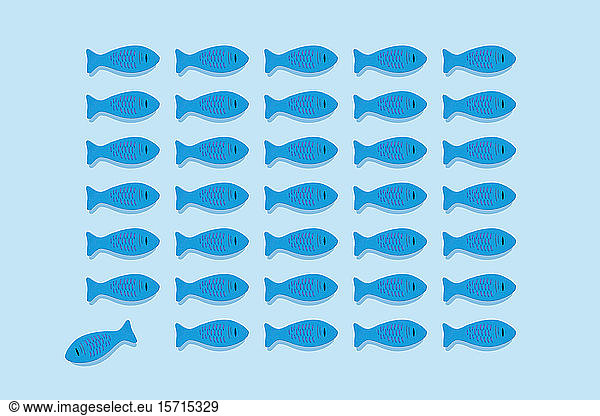 Studioaufnahme eines blauen Holzspielzeugfisches