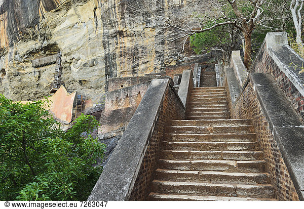 Stufe  Felsbrocken  führen  Löwe  Panthera leo  hoch  oben  UNESCO-Welterbe  Asien  Sigiriya  Sri Lanka