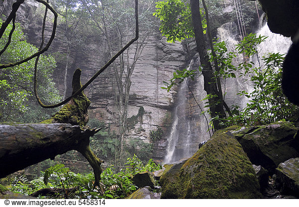 Subtropischer Regenwald mit Wasserfall  Chapada Diamantina  Bahia  Brasilien  Südamerika