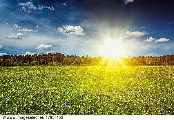 Summer meadow on sunset with blu sky and sun rays. With lens flare and light leak