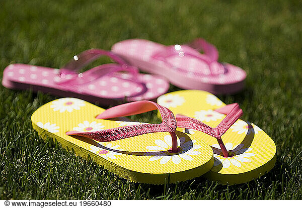 Summer sandals lying in the grass  Fort Collins  Colorado.