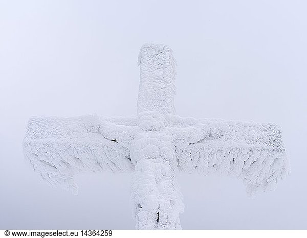Summit Cross in the National Park Bavarian Forest (Bayerischer Wald) in the deep of winter on the top of mount Lusen Europe  Germany  Bavaria  January