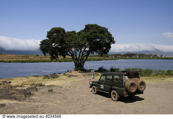 Sumpf vor dem wolkenverhangenen Rand des Ngorongoro-Kraters  Ngorongoro Conservation Area  Tansania  Afrika