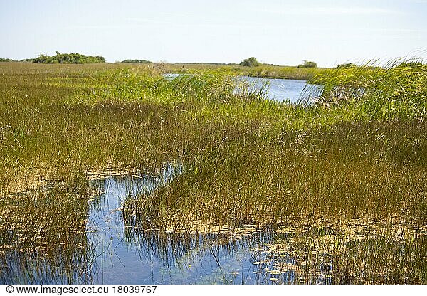 Sumpflandschaft  Everglades National Park  Florida/ swampland  Everglades National Park  Florida  Everglades National Park  Florida  USA  Nordamerika