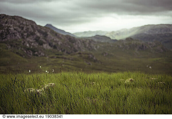 Sun hits mountains on moody storm day in highlands with grass in front