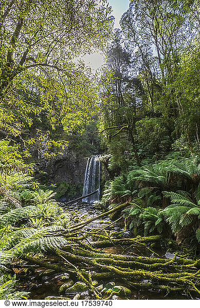 Sun shining over Hopetoun Falls on Aire River