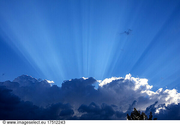 Sunbeams over clouds