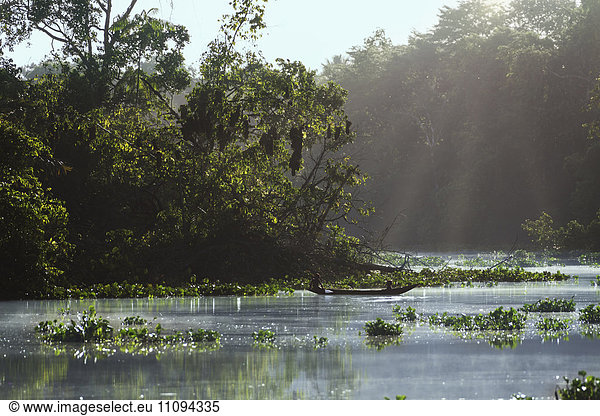 Sunlight falling on river  Orinoco River  Orinoco Delta  Venezuela
