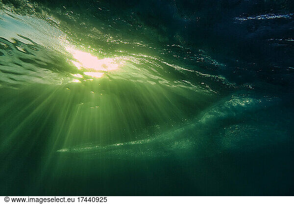 Sunlight under surface of ocean