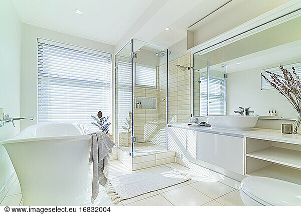 Sunny bright white home showcase interior bathroom