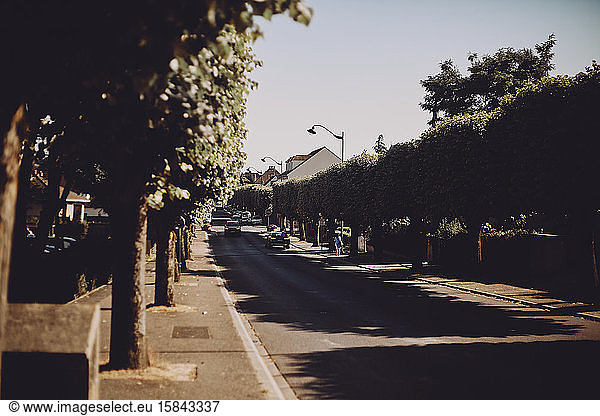 Sunny road with trees and walking woman in Provins  France