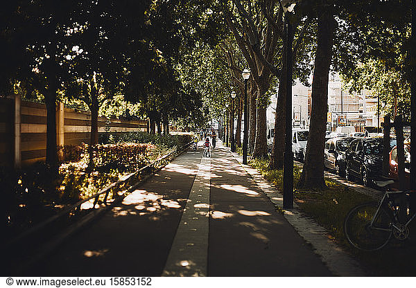 Sunny street of Paris  france  with trees  sunspots and walking people