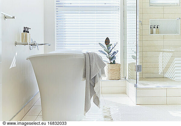 Sunny white modern home showcase interior bathroom with soaking tub