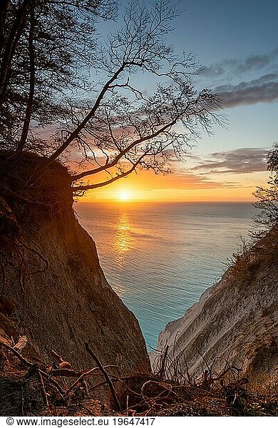 Sunrise at the chalk cliffs Möns Klint  Baltic Sea island Mön  Denmark  Europe