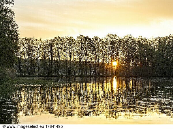 Sunrise at the Mittelteich  Biehla-Weißig pond area  Bautzen district  Saxony  Germany  Europe