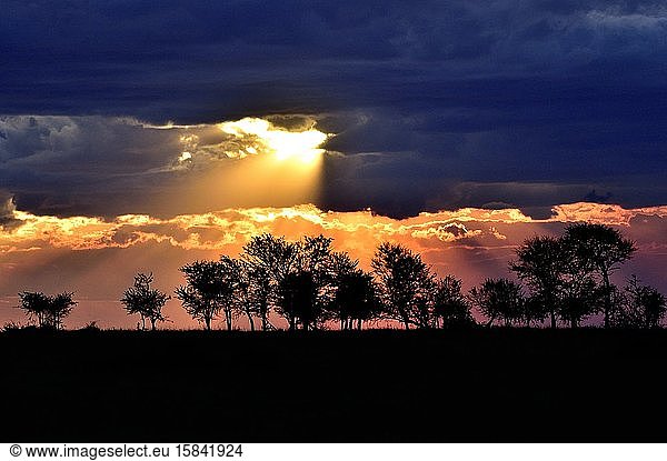 Sunrise in East Africa