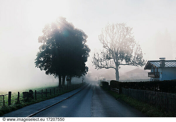 Sunrise over country road shrouded in fog