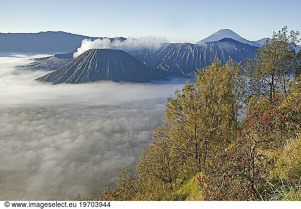 Sunrise over Mount Bromo  Gunung Bromo  active volcano and part of the Tengger massif  East Java  Indonesia  Asia