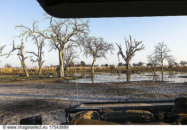 sunrise over water  Okavango Delta  Botswana