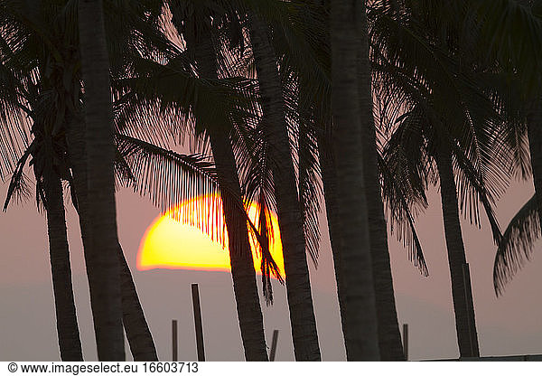 Sunset at Salalah  Oman