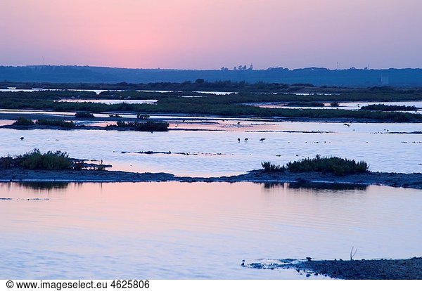 Sunset. Odiel Marshes Natural Place. Biosphere Reserve. Huelva. Andalusia. Spain