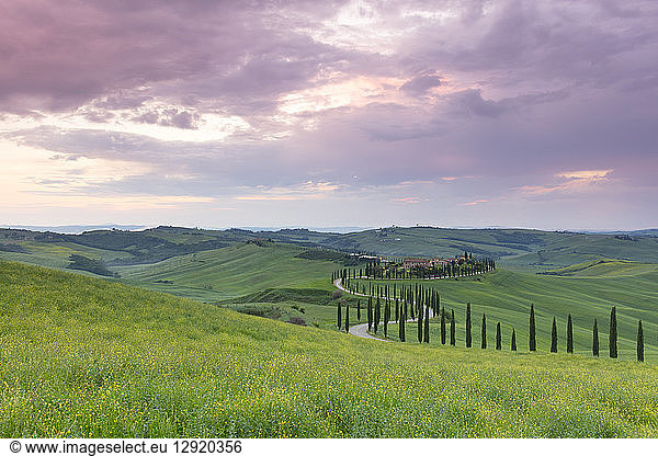 Sunset over the Agriturismo Baccoleno and winding path with cypress trees  Asciano in Tuscany  Italy