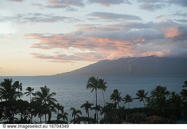 Sunset view of palm trees and mountain in Maui