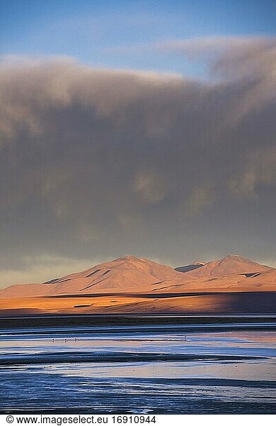 Sunste im Salar de Chalviri  Altiplano von Bolivien im Nationalen Reservat der Andenfauna Eduardo Avaroa