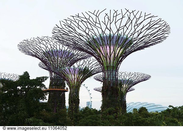 Superbäume in Singapur Gardens by the Bay Singapur Asien