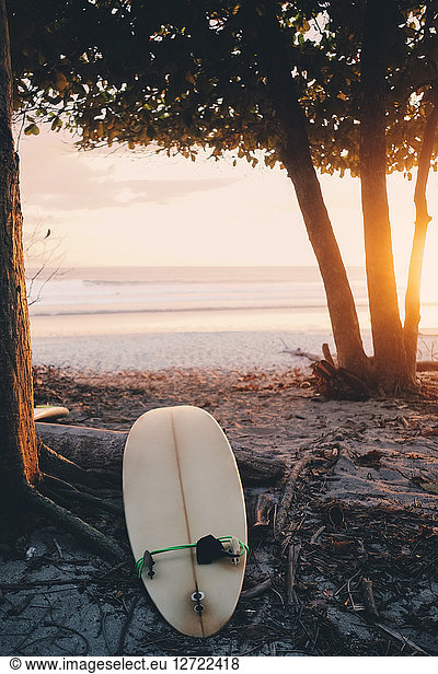 Surfboard on shore at beach during sunset