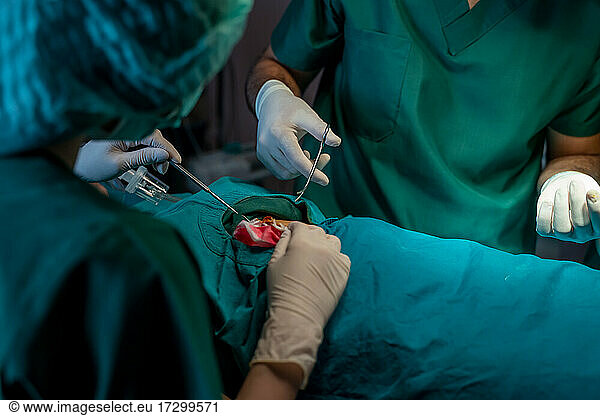 Surgeons with assistants are operation in operating room