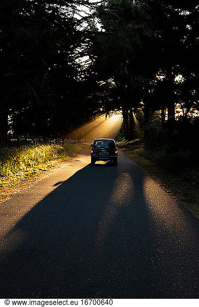 SUV parked on roadway leading into sun rays being cast through trees