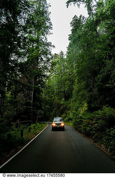 SUV with headlights on traveling paved road in dense forest