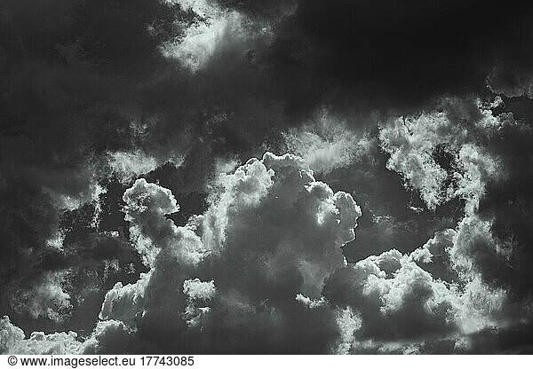 SW Aufnahme  Bedrohlich stürmischer Himmel mit Haufenwolken (Cumulus)  Bad Leonfelden  Mühlviertel  Oberösterreich  Österreich  Europa