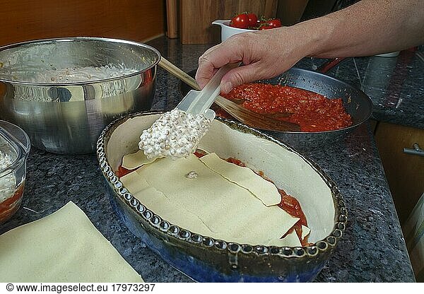 Swabian cuisine  preparing alblinsen casserole  filling lentils with sour cream in casserole dish  pasta dough  pasta patties  lasagne  baking dish  traditional cuisine  hearty oven dish  main dish  man's hand  dough scraper  kitchen scraper  studio  food photography  Germany  Europe