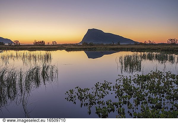 Swampland  dusk reflected in water surface  behind mountain silhouette on the horizon  Gimsøy  Lofoten  Nordland  Norway  Europe
