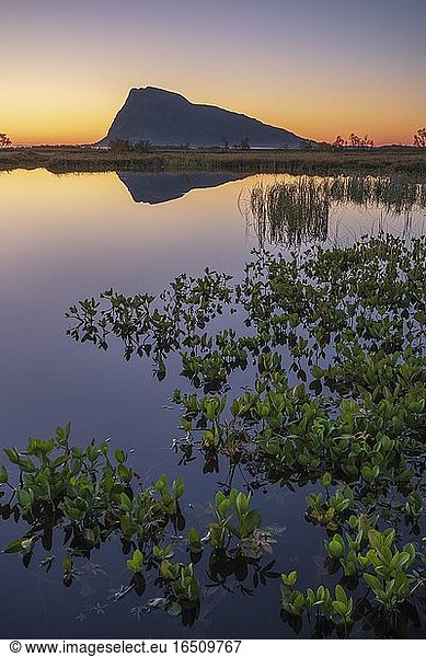 Swampland  dusk reflected in water surface  behind mountain silhouette on the horizon  Gimsøy  Lofoten  Nordland  Norway  Europe