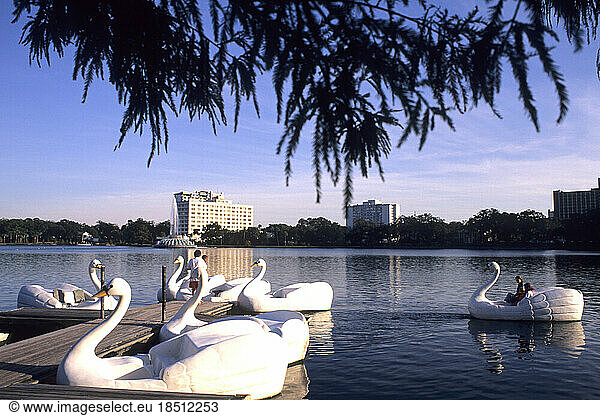 Swan Peddle Boats and Skyline from Lake Eola of Orlando Florida