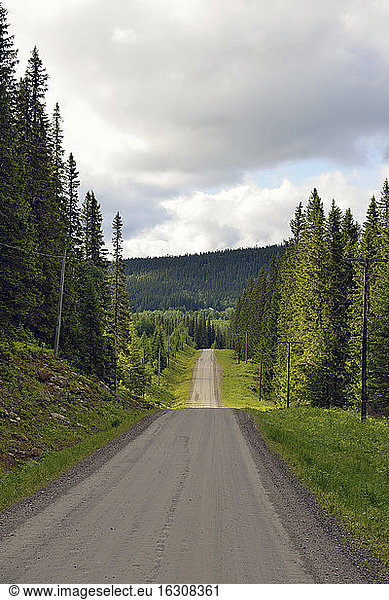 Sweden  Gaeddede  Gravel road at Vildmarksvaegen