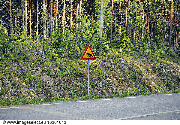 Sweden  Jokkmokk  Elk crossing road sign at country road