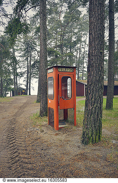 Sweden  Karlstad  Abandoned telephone booth in the woods