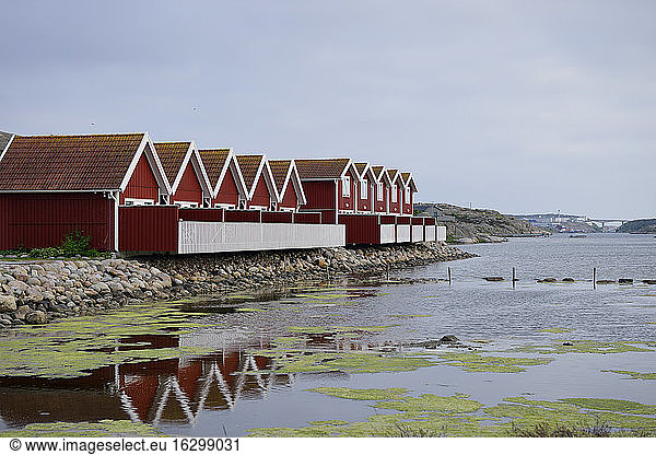 Sweden  Kungshamn  Row of typical red wooden houses