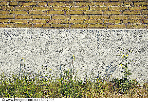 Sweden  Moelle  House wall with weed