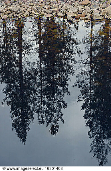 Sweden  Orsa  Reflection of trees in a lake